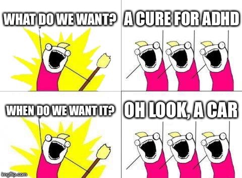 What Do We Want | WHAT DO WE WANT? A CURE FOR ADHD; WHEN DO WE WANT IT? OH LOOK, A CAR | image tagged in memes,what do we want | made w/ Imgflip meme maker
