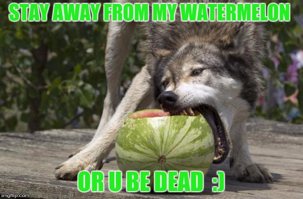 Watermelon Wolf | STAY AWAY FROM MY WATERMELON; OR U BE DEAD  :) | image tagged in watermelon wolf | made w/ Imgflip meme maker