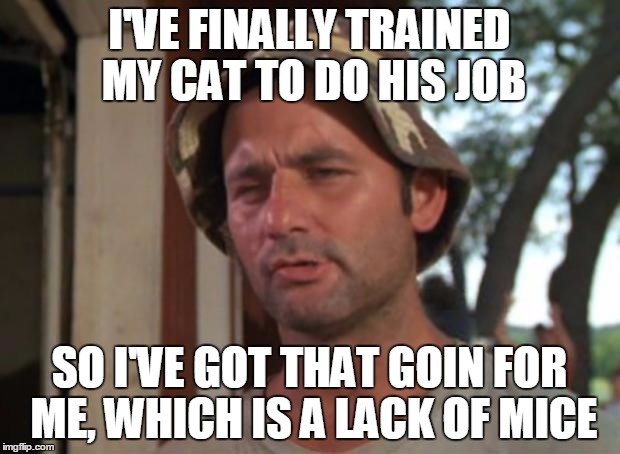 True Story | I'VE FINALLY TRAINED MY CAT TO DO HIS JOB; SO I'VE GOT THAT GOIN FOR ME, WHICH IS A LACK OF MICE | image tagged in memes,so i got that goin for me which is nice | made w/ Imgflip meme maker