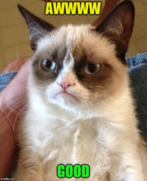 Grumpy Cat Meme | AWWWW GOOD | image tagged in memes,grumpy cat | made w/ Imgflip meme maker