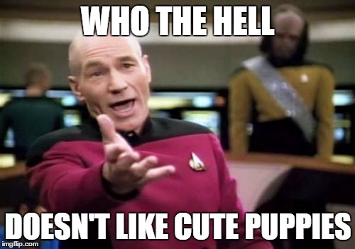 Picard Wtf Meme | WHO THE HELL DOESN'T LIKE CUTE PUPPIES | image tagged in memes,picard wtf | made w/ Imgflip meme maker