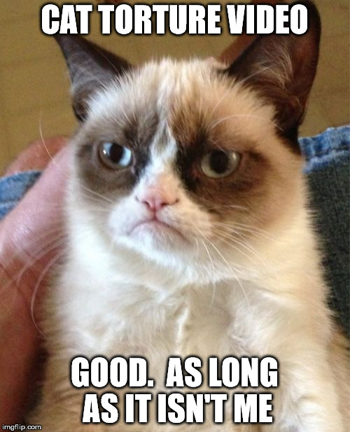 Grumpy Cat Meme | CAT TORTURE VIDEO GOOD.  AS LONG AS IT ISN'T ME | image tagged in memes,grumpy cat | made w/ Imgflip meme maker