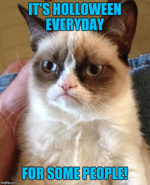Grumpy Cat | IT'S HOLLOWEEN EVERYDAY; FOR SOME PEOPLE! | image tagged in memes,grumpy cat | made w/ Imgflip meme maker