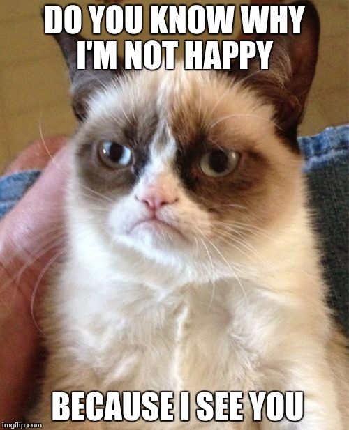 Grumpy Cat | DO YOU KNOW WHY I'M NOT HAPPY; BECAUSE I SEE YOU | image tagged in memes,grumpy cat | made w/ Imgflip meme maker
