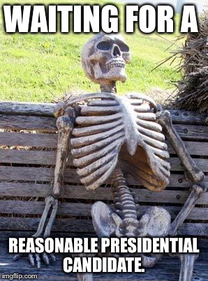 Waiting Skeleton | WAITING FOR A; REASONABLE PRESIDENTIAL CANDIDATE. | image tagged in memes,waiting skeleton | made w/ Imgflip meme maker