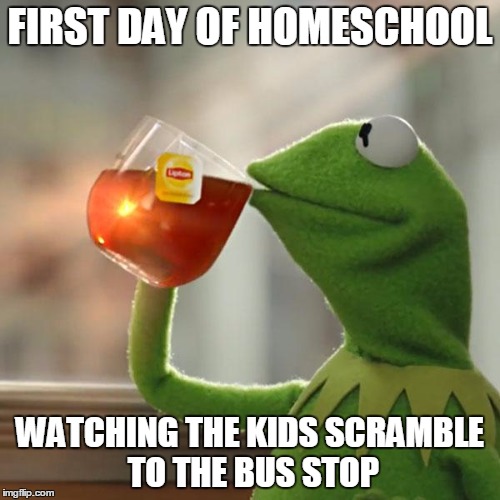 But That's None Of My Business Meme | FIRST DAY OF HOMESCHOOL; WATCHING THE KIDS SCRAMBLE TO THE BUS STOP | image tagged in memes,but thats none of my business,kermit the frog | made w/ Imgflip meme maker