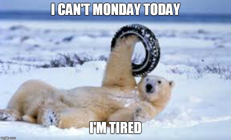 Seriously, who does whitewalls in the Arctic? | I CAN'T MONDAY TODAY; I'M TIRED | image tagged in i hate mondays,it's a trap,sad polar bear | made w/ Imgflip meme maker