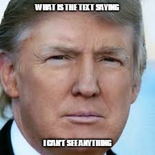 What can you see? | WHAT IS THE TEXT SAYING; I CAN'T SEE ANYTHING | image tagged in donald trump,staring,creepy guy staring,text,texting,memes | made w/ Imgflip meme maker