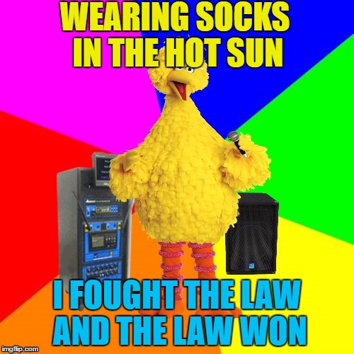 The police can be tough... | WEARING SOCKS IN THE HOT SUN; I FOUGHT THE LAW AND THE LAW WON | image tagged in wrong lyrics karaoke big bird,memes,the clash,music | made w/ Imgflip meme maker