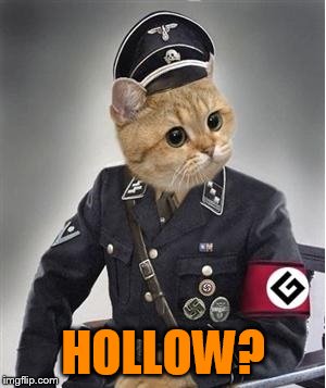 HOLLOW? | made w/ Imgflip meme maker