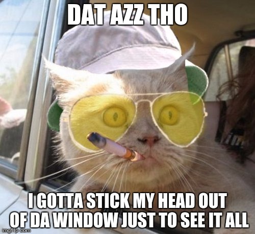 Fear And Loathing Cat Meme | DAT AZZ THO; I GOTTA STICK MY HEAD OUT OF DA WINDOW JUST TO SEE IT ALL | image tagged in memes,fear and loathing cat | made w/ Imgflip meme maker