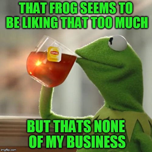 But That's None Of My Business Meme | THAT FROG SEEMS TO BE LIKING THAT TOO MUCH BUT THATS NONE OF MY BUSINESS | image tagged in memes,but thats none of my business,kermit the frog | made w/ Imgflip meme maker