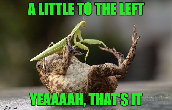 A LITTLE TO THE LEFT YEAAAAH, THAT'S IT | made w/ Imgflip meme maker