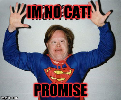 IM NO CAT! PROMISE | made w/ Imgflip meme maker