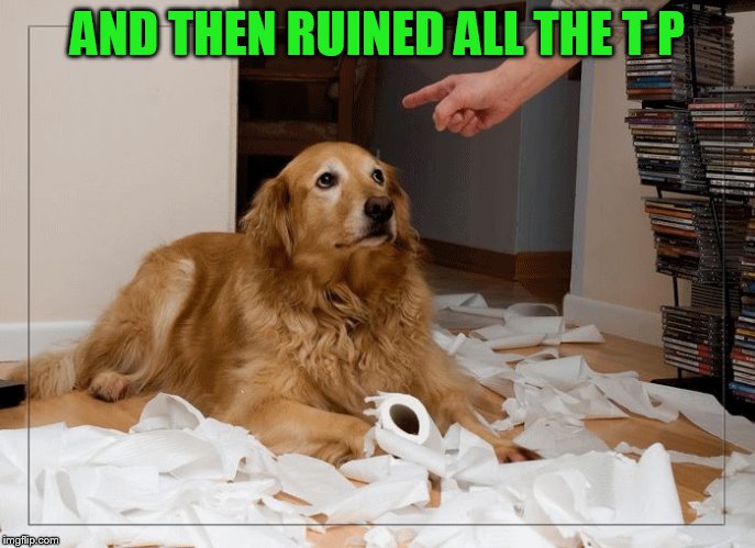 AND THEN RUINED ALL THE T P | made w/ Imgflip meme maker