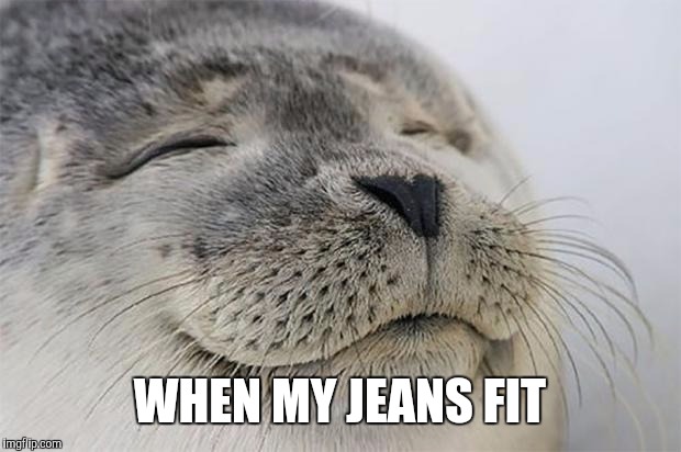 Satisfied Seal Meme | WHEN MY JEANS FIT | image tagged in memes,satisfied seal | made w/ Imgflip meme maker