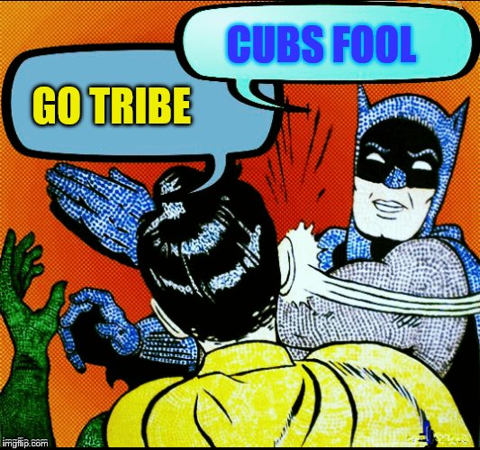 GO TRIBE CUBS FOOL | made w/ Imgflip meme maker
