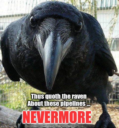 NEVERMORE | image tagged in raven | made w/ Imgflip meme maker