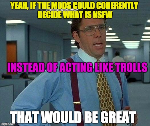 Troll Mods | YEAH, IF THE MODS COULD COHERENTLY DECIDE WHAT IS NSFW; INSTEAD OF ACTING LIKE TROLLS; THAT WOULD BE GREAT | image tagged in memes,that would be great | made w/ Imgflip meme maker