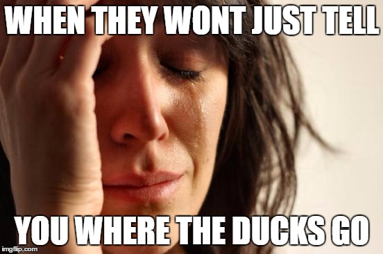 First World Problems | WHEN THEY WONT JUST TELL; YOU WHERE THE DUCKS GO | image tagged in memes,first world problems | made w/ Imgflip meme maker