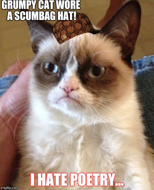 Grumpy Cat | GRUMPY CAT WORE A SCUMBAG HAT! I HATE POETRY... | image tagged in memes,grumpy cat,scumbag | made w/ Imgflip meme maker