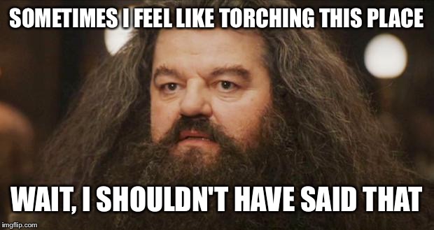 Hagrid at Work | SOMETIMES I FEEL LIKE TORCHING THIS PLACE; WAIT, I SHOULDN'T HAVE SAID THAT | image tagged in hagrid,memes | made w/ Imgflip meme maker