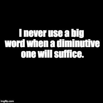 Blank | I never use a big word when a diminutive one will suffice. | image tagged in blank | made w/ Imgflip meme maker