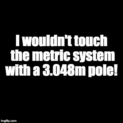 Blank | I wouldn't touch the metric system with a 3.048m pole! | image tagged in blank | made w/ Imgflip meme maker