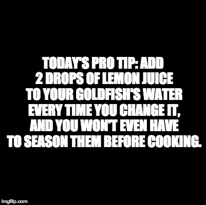 Blank | TODAY'S PRO TIP: ADD 2 DROPS OF LEMON JUICE TO YOUR GOLDFISH'S WATER EVERY TIME YOU CHANGE IT, AND YOU WON'T EVEN HAVE TO SEASON THEM BEFORE COOKING. | image tagged in blank | made w/ Imgflip meme maker