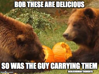 pumpkin eating | BOB THESE ARE DELICIOUS; SO WAS THE GUY CARRYING THEM; BERLEEHUMAN THOUGHTS | image tagged in bear,pumpkin | made w/ Imgflip meme maker