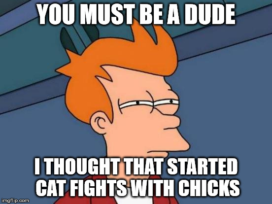 Futurama Fry Meme | YOU MUST BE A DUDE I THOUGHT THAT STARTED CAT FIGHTS WITH CHICKS | image tagged in memes,futurama fry | made w/ Imgflip meme maker