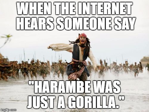 Jack Sparrow Being Chased | WHEN THE INTERNET HEARS SOMEONE SAY; "HARAMBE WAS JUST A GORILLA." | image tagged in memes,jack sparrow being chased | made w/ Imgflip meme maker