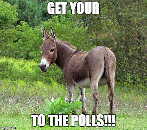 Get Your Ass To The Polls | GET YOUR; TO THE POLLS!!! | image tagged in vote,polls,election 2016 | made w/ Imgflip meme maker