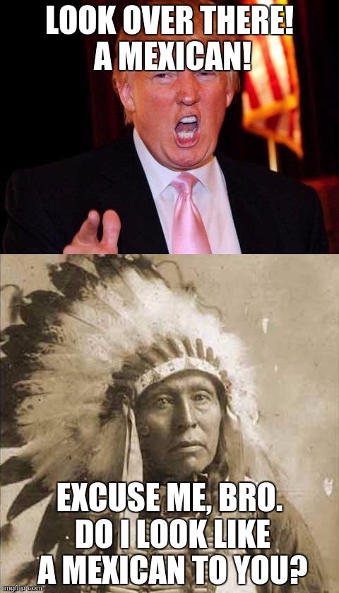 Donald Trump and Native American | LOOK OVER THERE! A MEXICAN! EXCUSE ME, BRO. DO I LOOK LIKE A MEXICAN TO YOU? | image tagged in donald trump and native american | made w/ Imgflip meme maker
