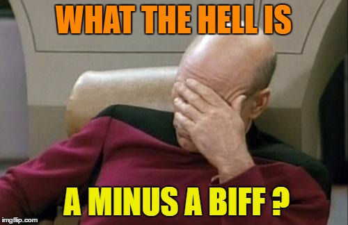 Captain Picard Facepalm Meme | WHAT THE HELL IS A MINUS A BIFF ? | image tagged in memes,captain picard facepalm | made w/ Imgflip meme maker