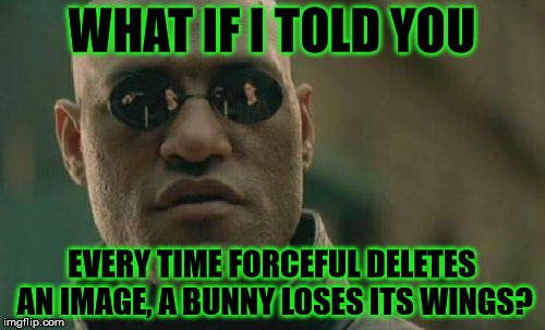 Matrix Morpheus Meme | WHAT IF I TOLD YOU EVERY TIME FORCEFUL DELETES AN IMAGE, A BUNNY LOSES ITS WINGS? | image tagged in memes,matrix morpheus | made w/ Imgflip meme maker