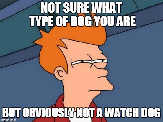 Futurama Fry Meme | NOT SURE WHAT TYPE OF DOG YOU ARE BUT OBVIOUSLY NOT A WATCH DOG | image tagged in memes,futurama fry | made w/ Imgflip meme maker