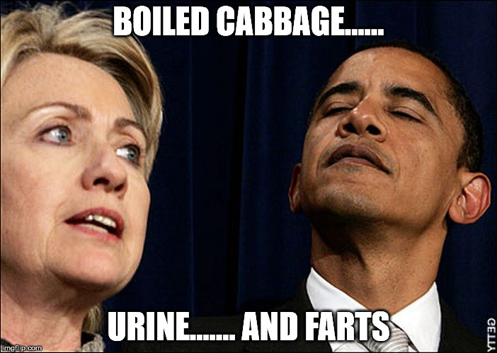 hillary obama | BOILED CABBAGE...... URINE....... AND FARTS | image tagged in hillary obama | made w/ Imgflip meme maker