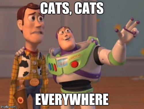 X, X Everywhere Meme | CATS, CATS EVERYWHERE | image tagged in memes,x x everywhere | made w/ Imgflip meme maker