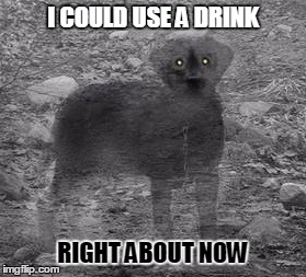 I COULD USE A DRINK RIGHT ABOUT NOW | made w/ Imgflip meme maker