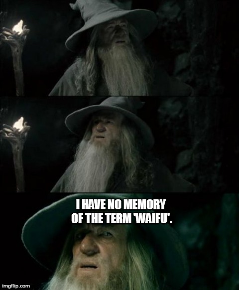 Confused Gandalf Meme | I HAVE NO MEMORY OF THE TERM 'WAIFU'. | image tagged in memes,confused gandalf | made w/ Imgflip meme maker