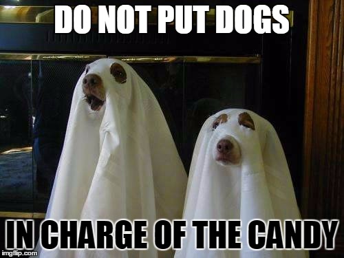 DO NOT PUT DOGS IN CHARGE OF THE CANDY | made w/ Imgflip meme maker