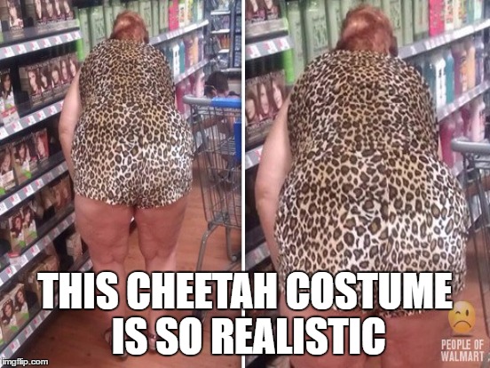 THIS CHEETAH COSTUME IS SO REALISTIC | made w/ Imgflip meme maker