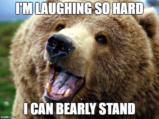 I'M LAUGHING SO HARD I CAN BEARLY STAND | made w/ Imgflip meme maker