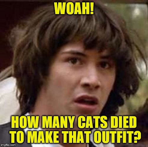 Conspiracy Keanu Meme | WOAH! HOW MANY CATS DIED TO MAKE THAT OUTFIT? | image tagged in memes,conspiracy keanu | made w/ Imgflip meme maker
