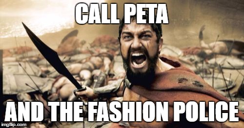 Sparta Leonidas Meme | CALL PETA AND THE FASHION POLICE | image tagged in memes,sparta leonidas | made w/ Imgflip meme maker