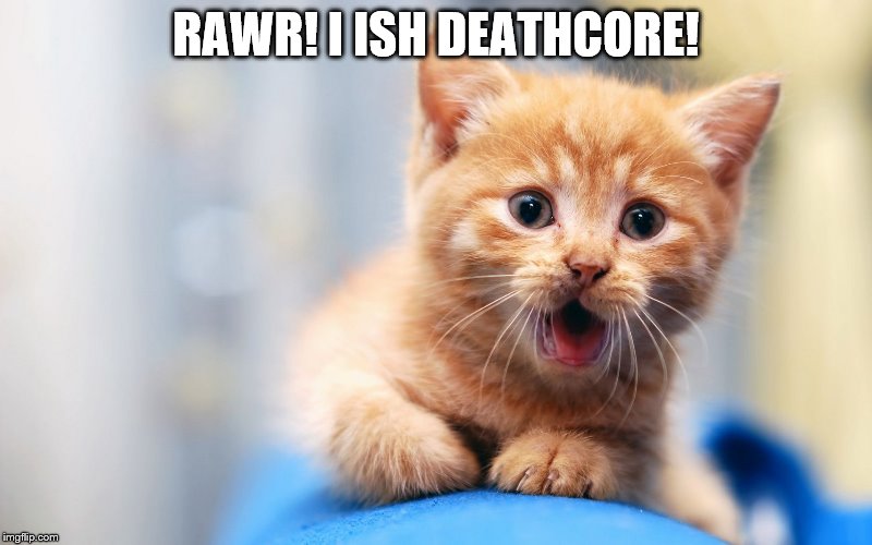 Deathcore Kitten | RAWR! I ISH DEATHCORE! | image tagged in deathcore,cat,kitten | made w/ Imgflip meme maker
