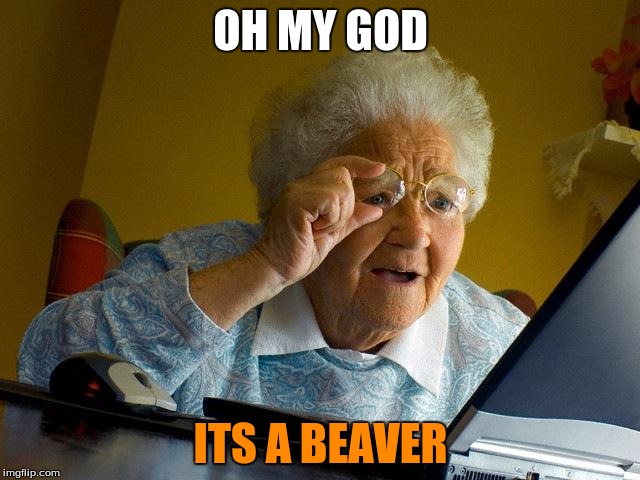 Grandma Finds The Internet | OH MY GOD; ITS A BEAVER | image tagged in memes,grandma finds the internet | made w/ Imgflip meme maker