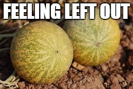 FEELING LEFT OUT | image tagged in melon | made w/ Imgflip meme maker