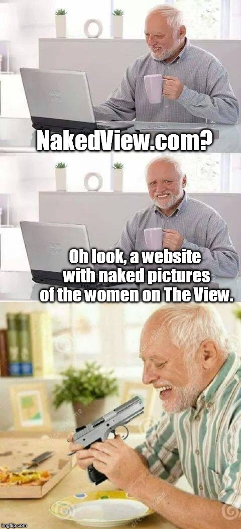 Something that can't be unseen! | NakedView.com? Oh look, a website with naked pictures of the women on The View. | image tagged in hide the pain harold | made w/ Imgflip meme maker